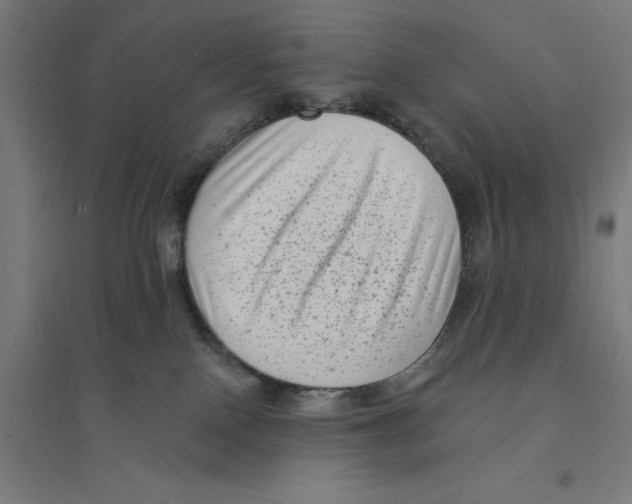 X0000094420090200712061101