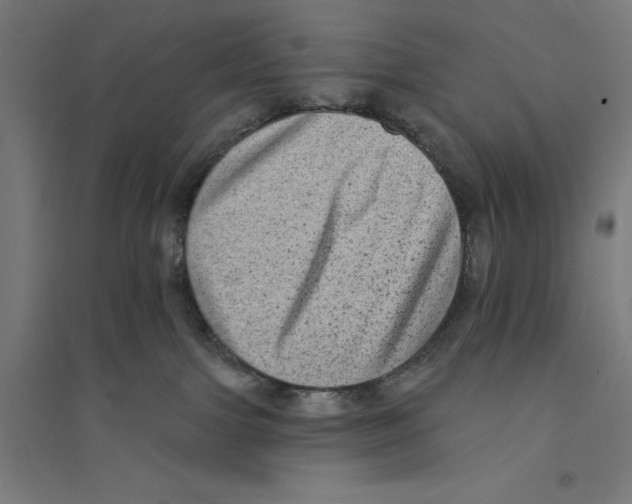 X0000094420091200712061101