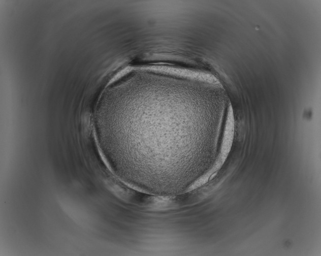 X0000094420093200712061101