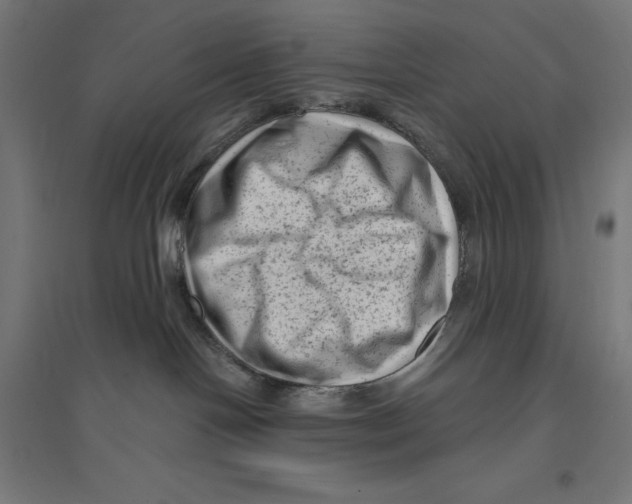 X0000094420094200712061101