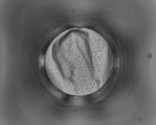 X0000094420095200712061101