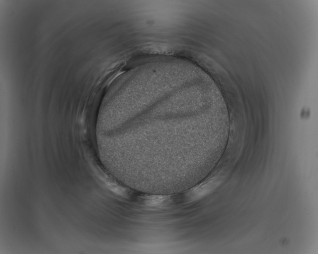 X0000094420096200712061101