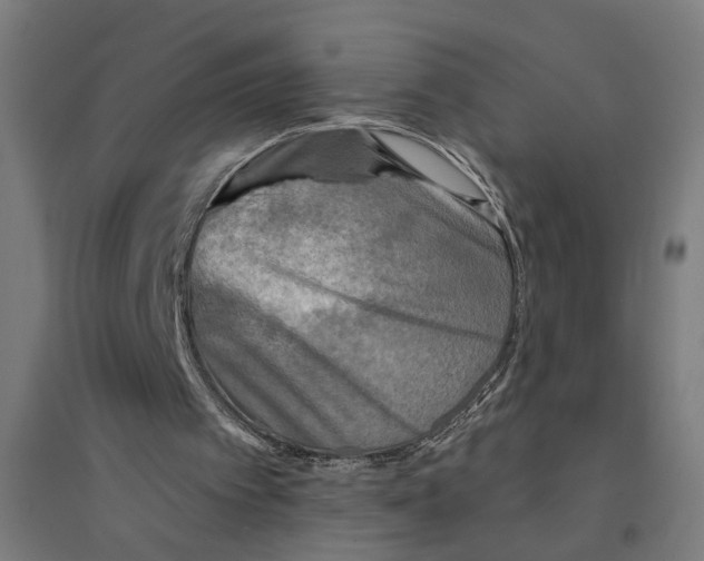 X0000094420097200712061101