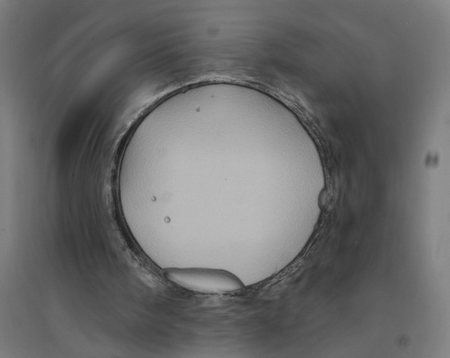 X0000094420098200712061101