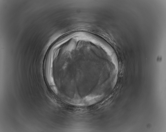 X0000094420099200712061101