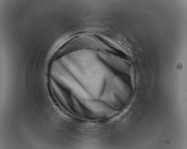 X0000094420101200712061101