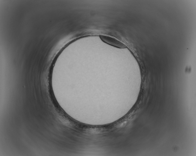 X0000094420103200712061100