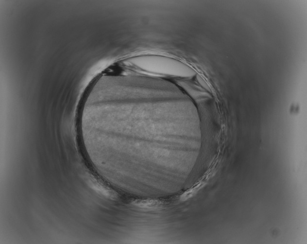 X0000094420104200712061100