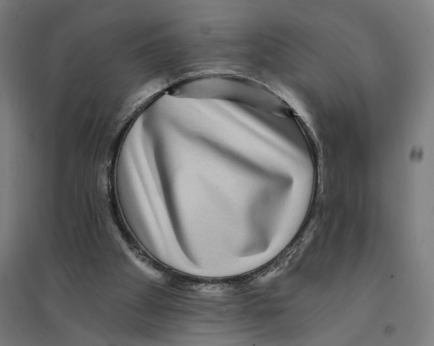 X0000094420105200712061100