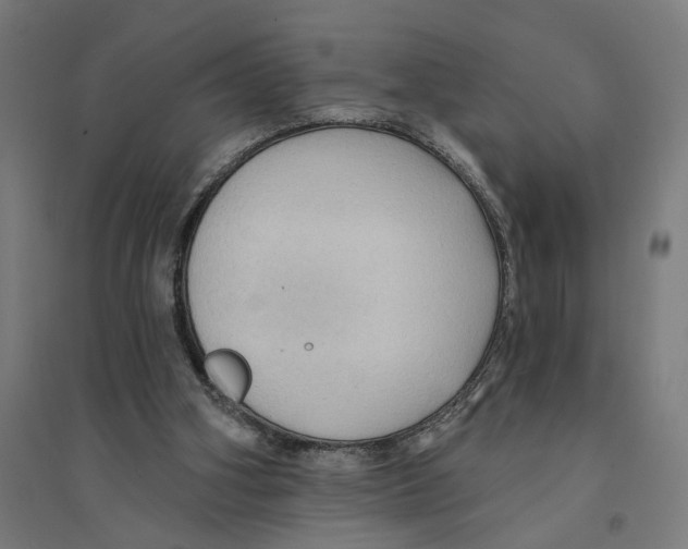 X0000094420106200712061100