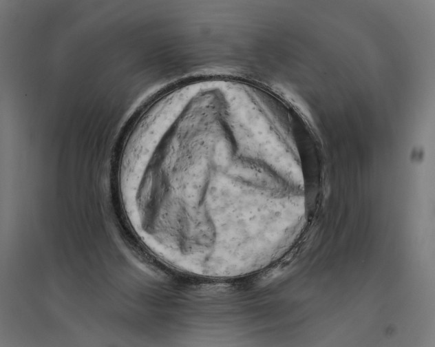 X0000094420108200712061100