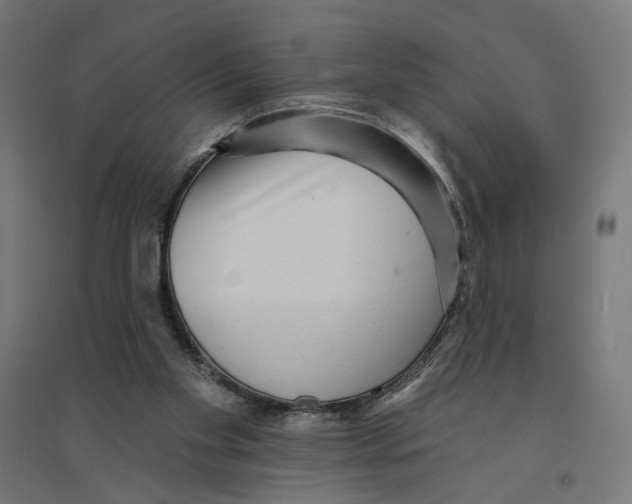 X0000094420109200712061100