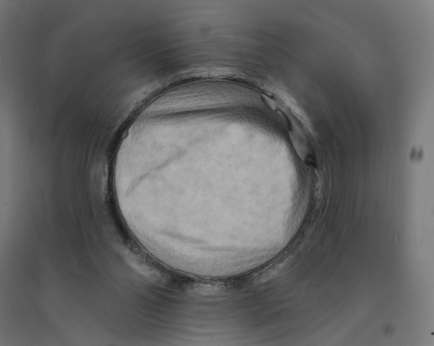 X0000094420110200712061100