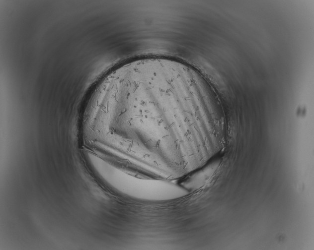 X0000094420112200712061100