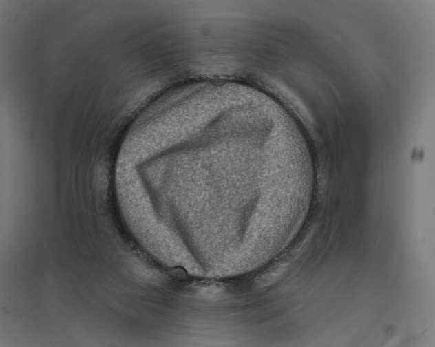 X0000094420113200712061100