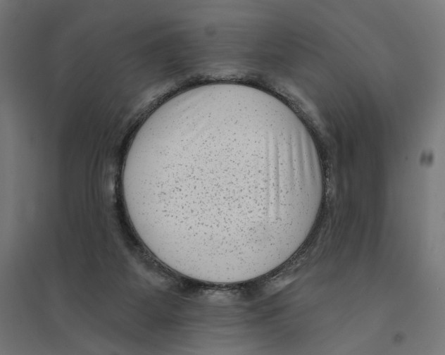 X0000094420115200712061100