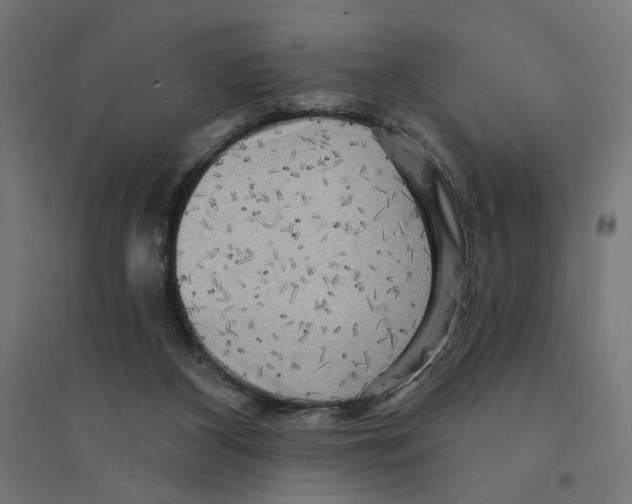 X0000094420116200712061100