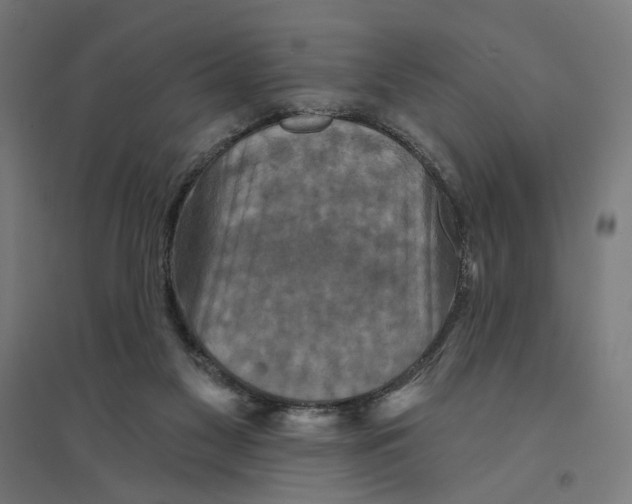 X0000094420117200712061100