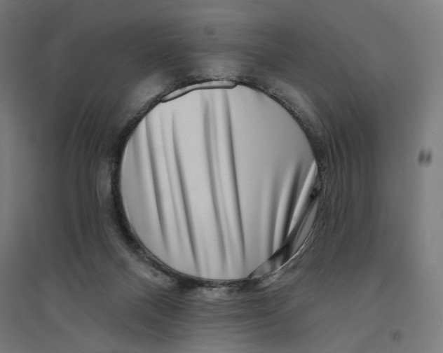 X0000094420120200712061100