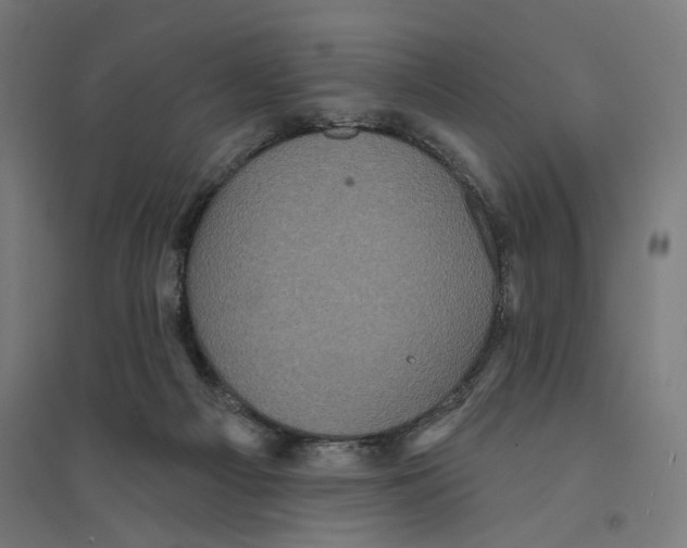 X0000094420121200712061100