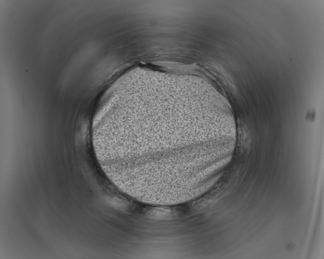 X0000094420123200712061100