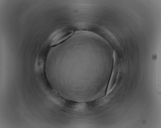 X0000094420124200712061100