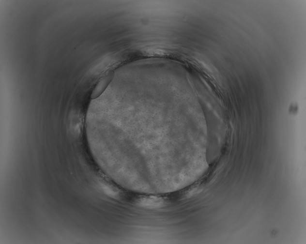 X0000094420125200712061100