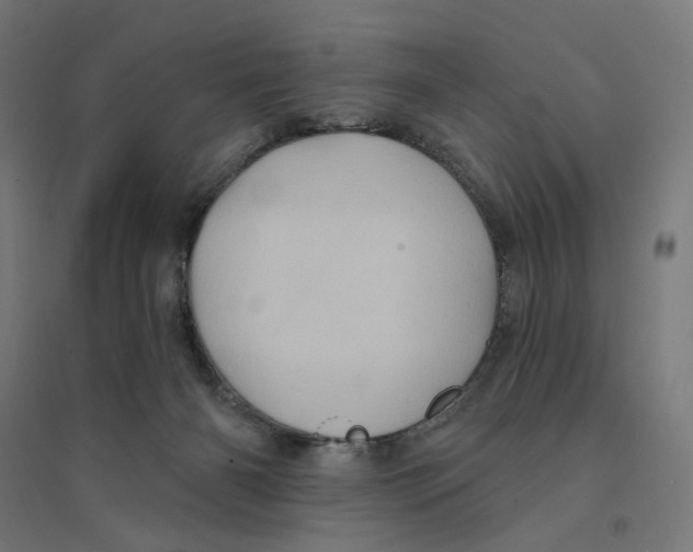 X0000094420126200712061100