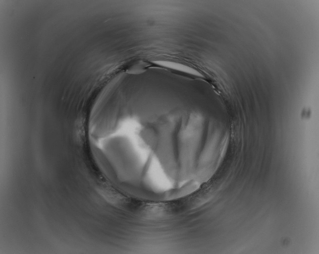 X0000094420127200712061100