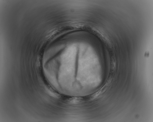 X0000094420128200712061100