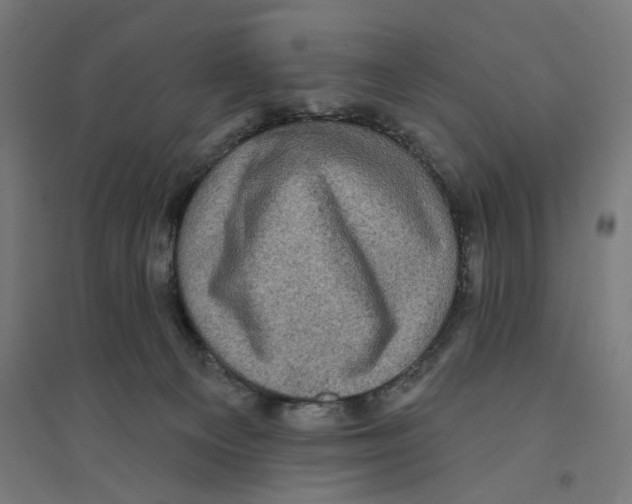 X0000094420129200712061100