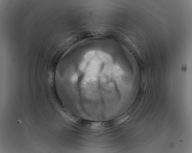 X0000094420130200712061100