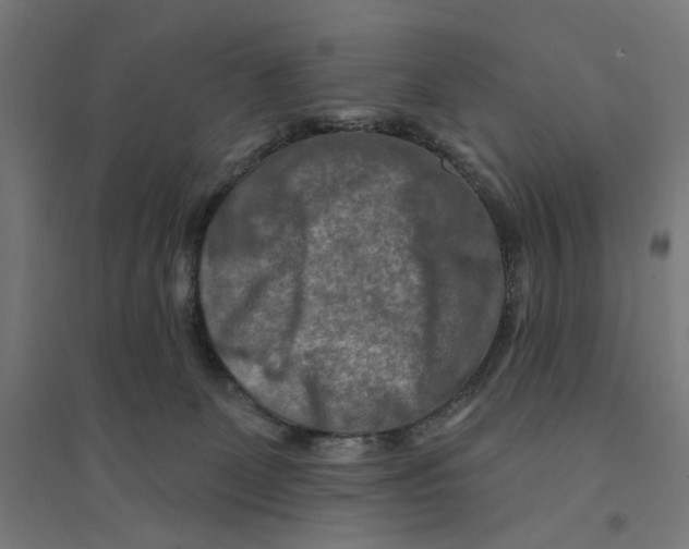 X0000094420131200712061100