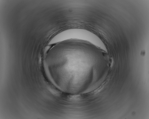 X0000094420132200712061100