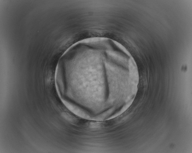 X0000094420134200712061100