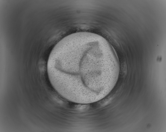 X0000094420135200712061100