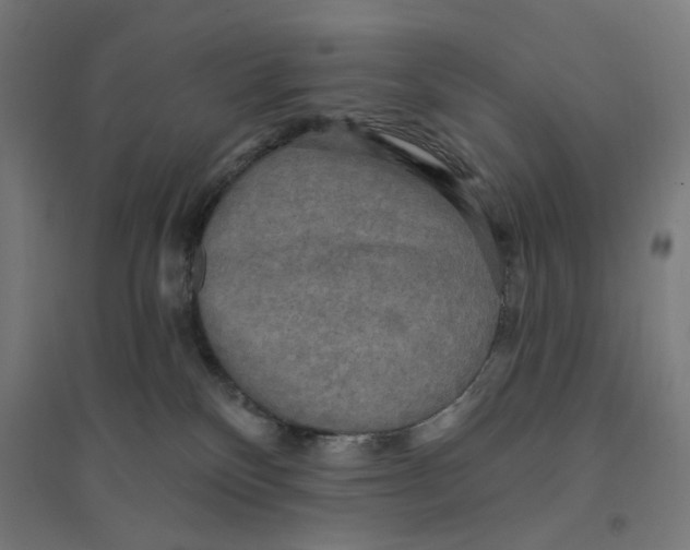 X0000094420136200712061100