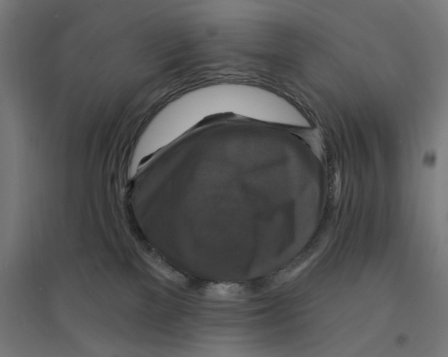 X0000094420137200712061100