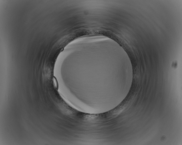 X0000094420139200712061100