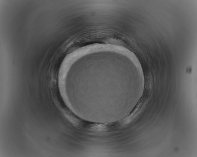 X0000094420140200712061100