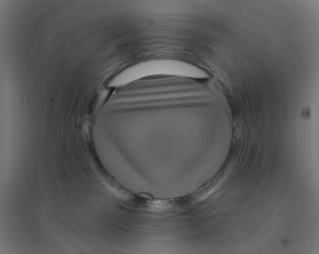 X0000094420141200712061100