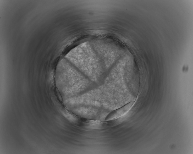 X0000094420144200712061100