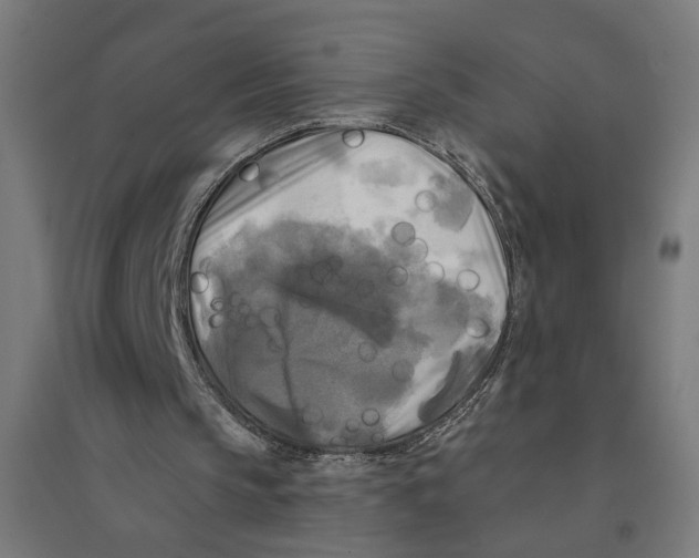 X0000094420145200712061059