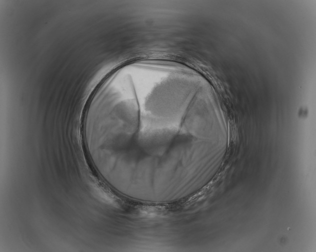 X0000094420147200712061059