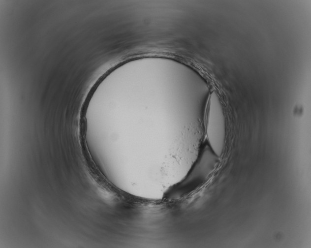 X0000094420148200712061059