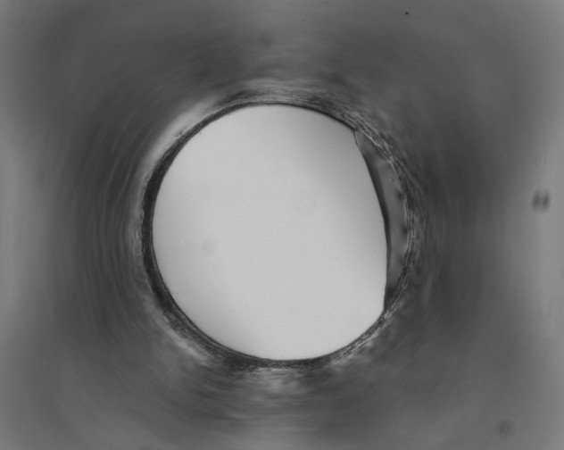 X0000094420150200712061059