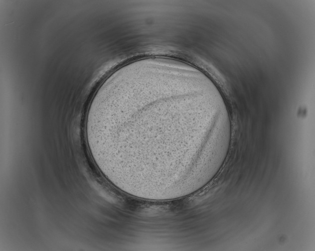 X0000094420155200712061059