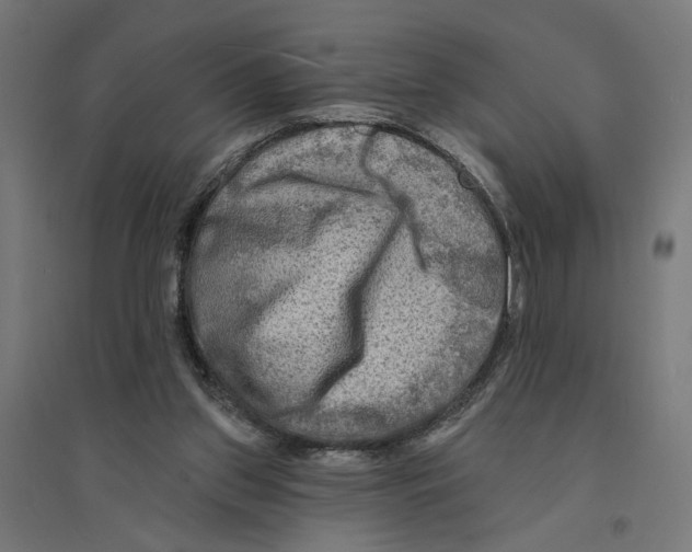 X0000094420157200712061059