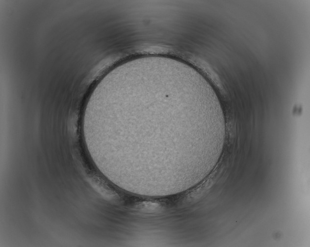 X0000094420159200712061059