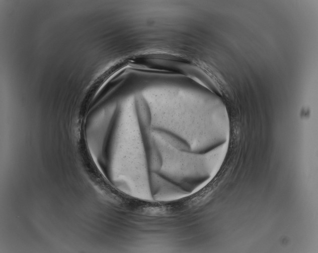 X0000094420160200712061059